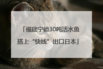 福建宁德30吨活水鱼搭上“快线”出口日本